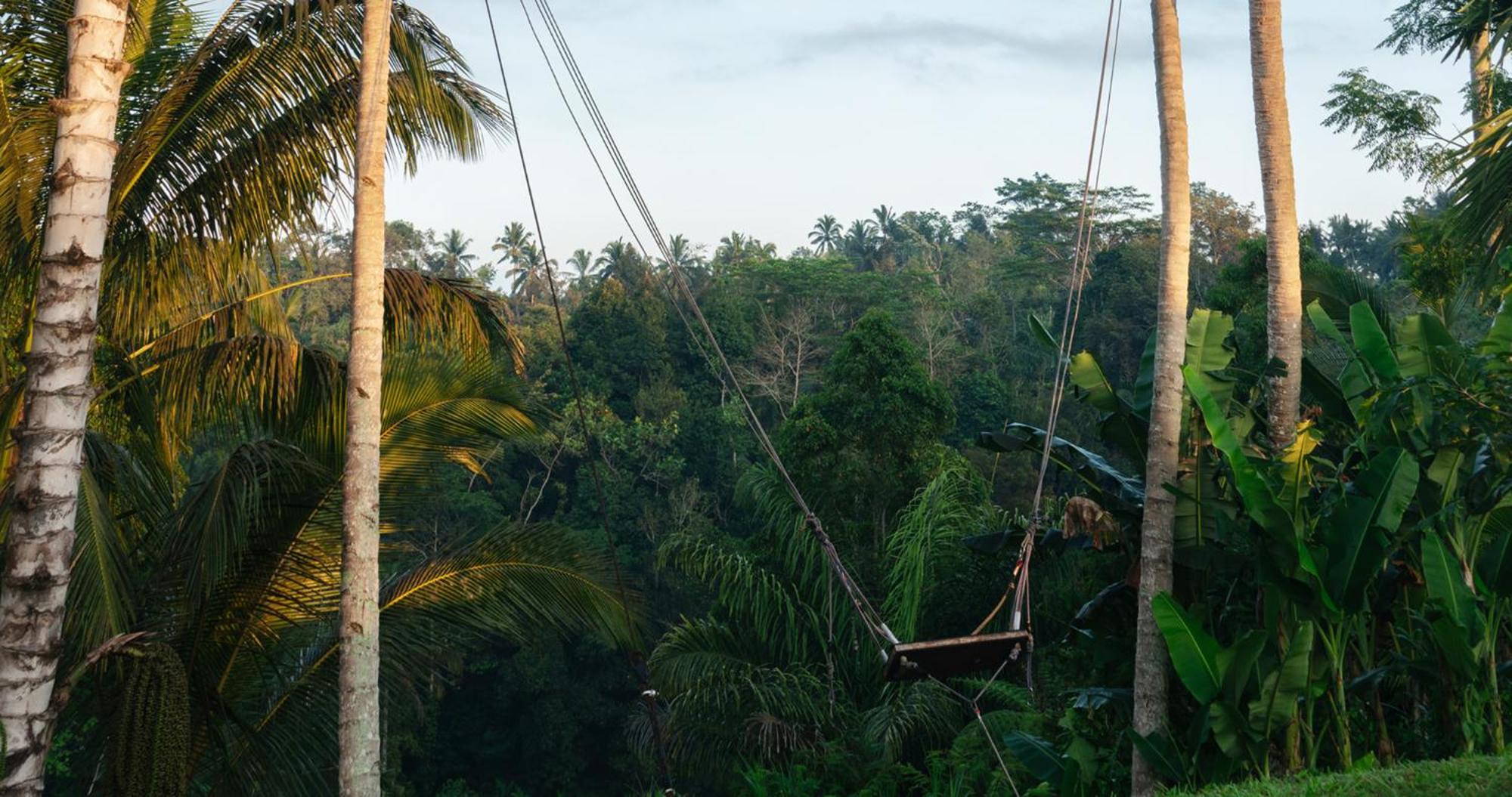 Bobocabin Ubud, Bali Dış mekan fotoğraf